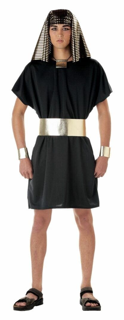 Adult Egyptian Pharaoh Costume