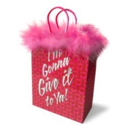 I'm Gonna Give It to Ya! Gift Bag - Novelty Gift Bag - Image 2