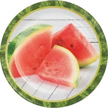 Watermelon Picnic Luncheon Plate