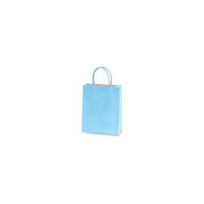 Pastel Blue Euro Medium Gift Bag Case Pack 60